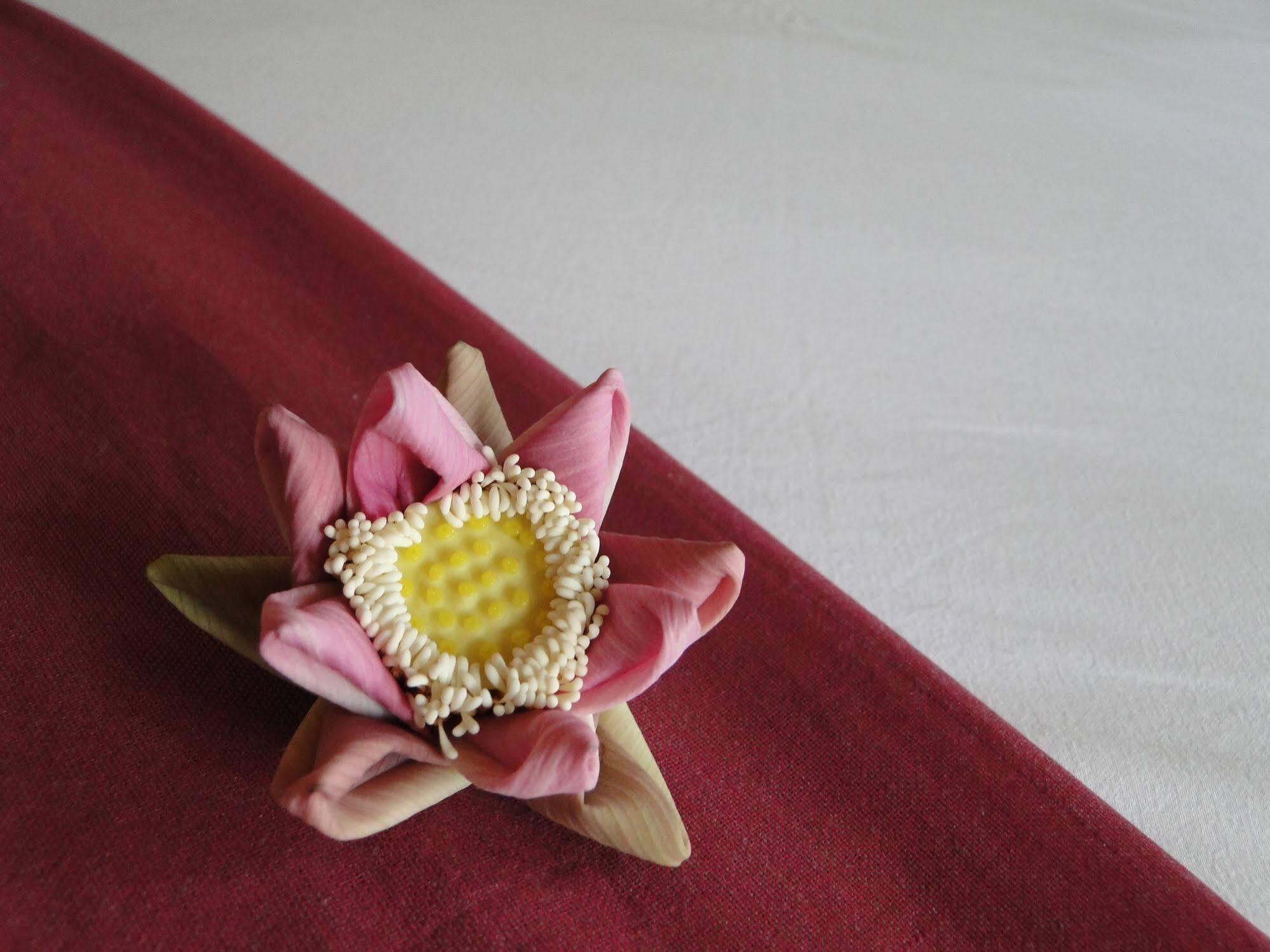 Bopha Siem Reap Boutique Hotel מראה חיצוני תמונה